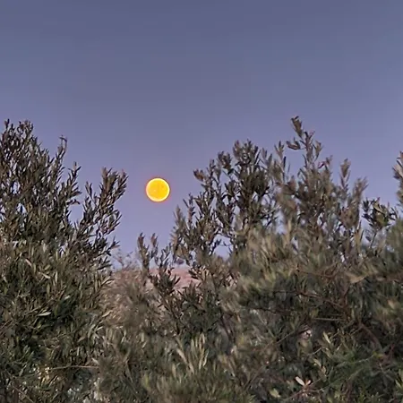 Aniko Appartement Kolymbia