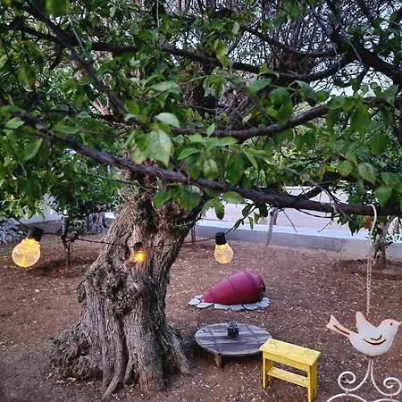 Aniko Appartement Kolymbia