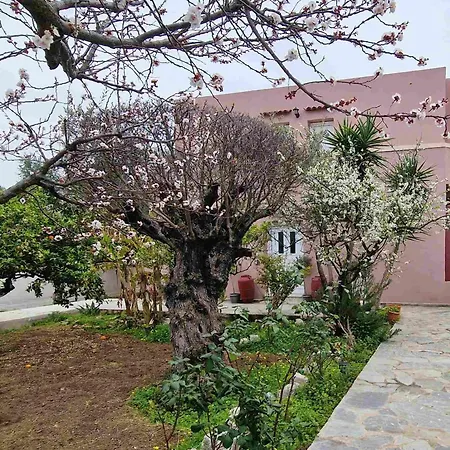 Aniko Apartment *