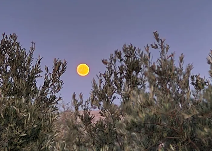 Aniko Apartament Kolymbia