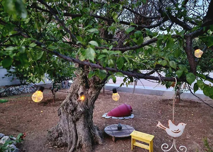 Aniko Apartament Kolymbia