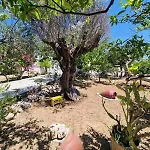 Apartamento Aniko